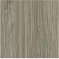 Sahalie Pine